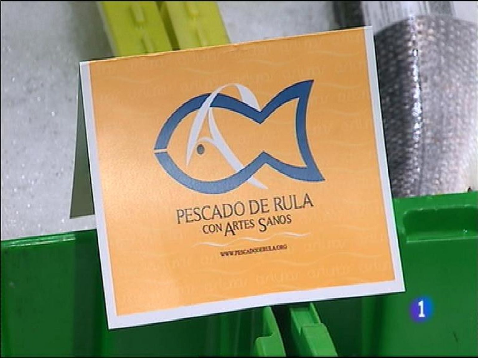 Panorama Regional 2 - 25/02/15