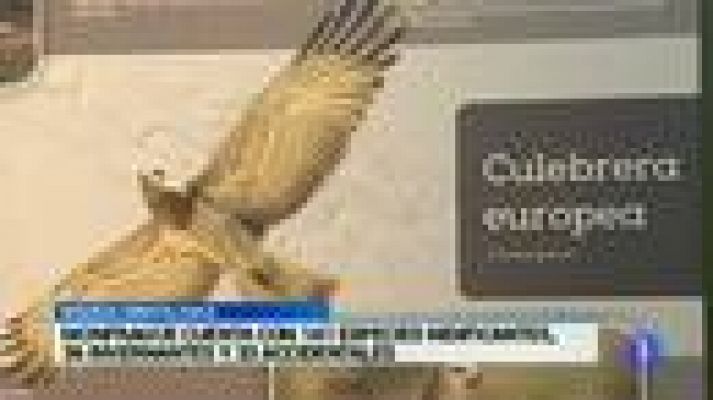 Noticias de Extremadura - Noticias de Extremadura 2 - 25/02/15