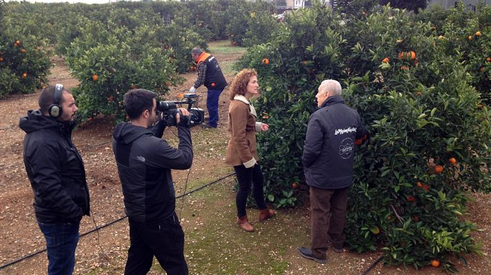 Aquí la Tierra - Naranjas a domicilio punto com