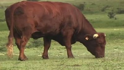 Sierra Norte de Sevilla