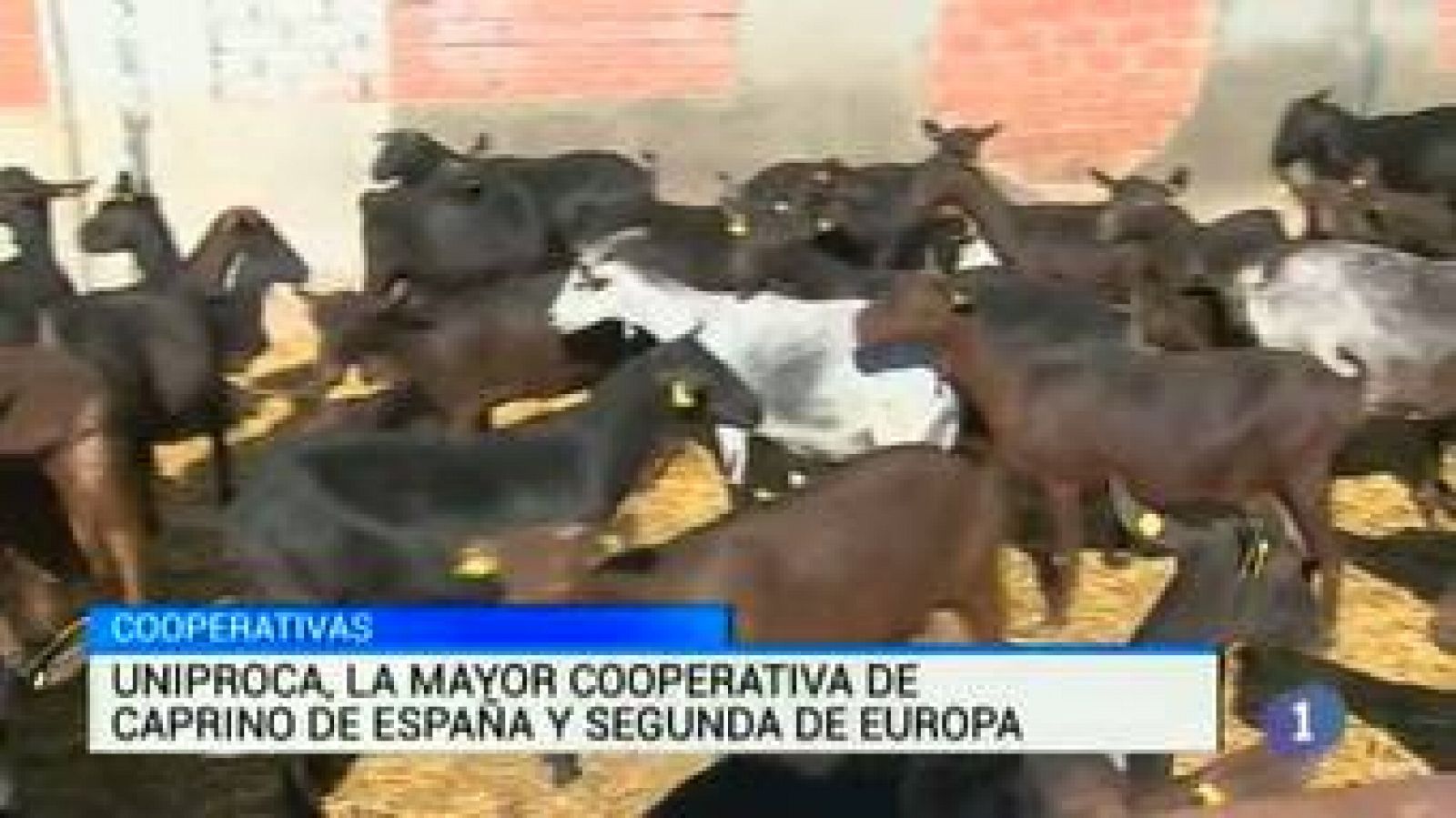 Noticias de Castilla-La Mancha: Castilla-La Mancha en 2' - 26/02/15 | RTVE Play