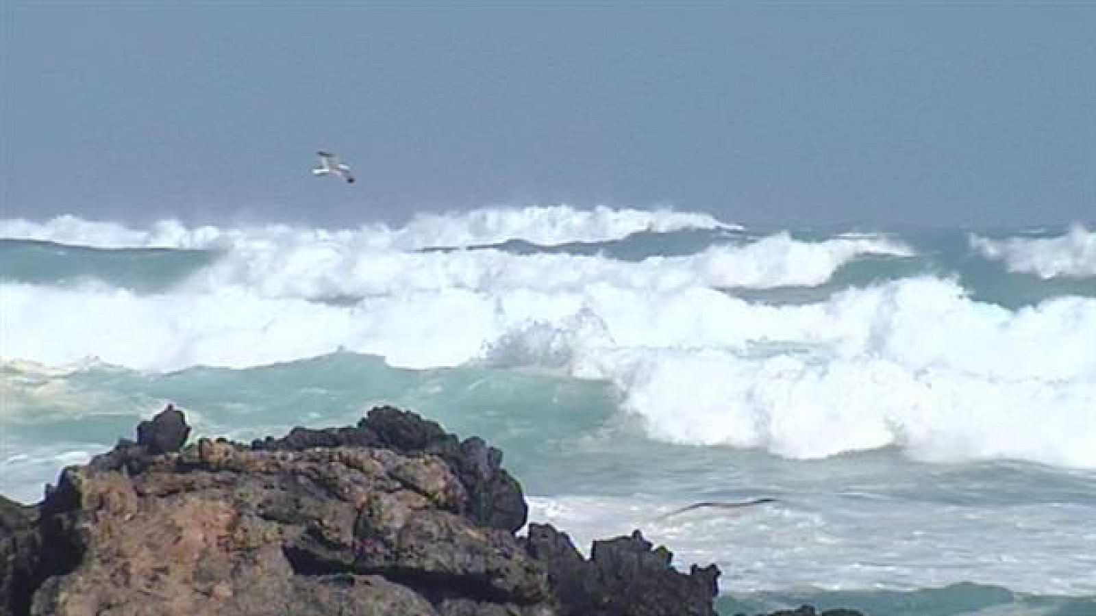 Telecanarias - 26/02/15 | Ver