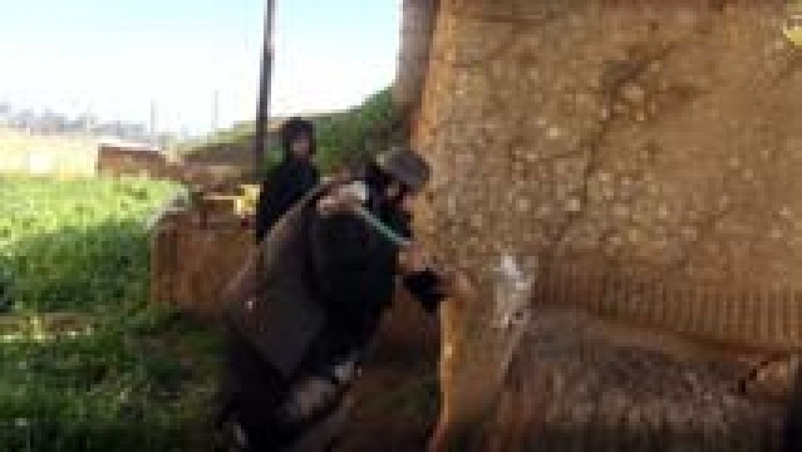 La tarde en 24h: El Estado Islámico destruye patrimonio histórico | RTVE Play