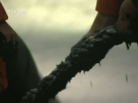 Miedo al vacío - Un mundo nuevo