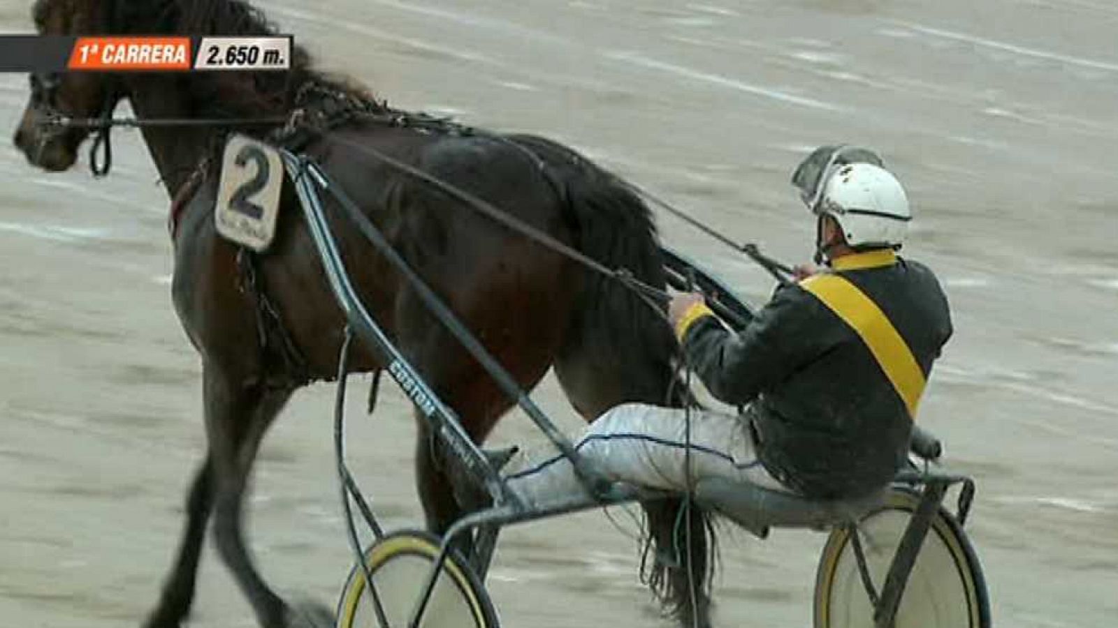 Turf - 27/02/15 - ver ahora