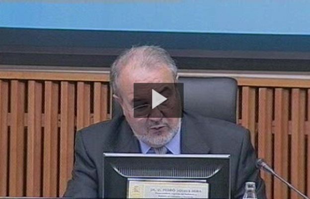  - Presupuestos 2009, austeros