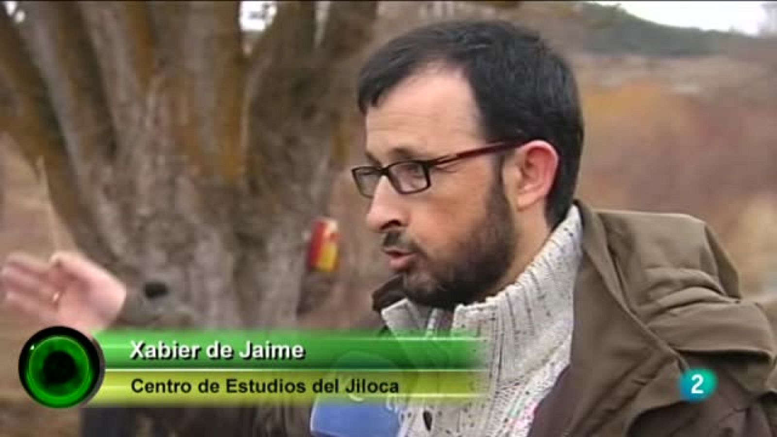 Agrosfera - En primer plano - Arbol del año