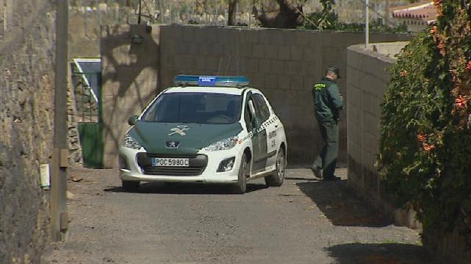 Telecanarias - 02/03/15 | Ver