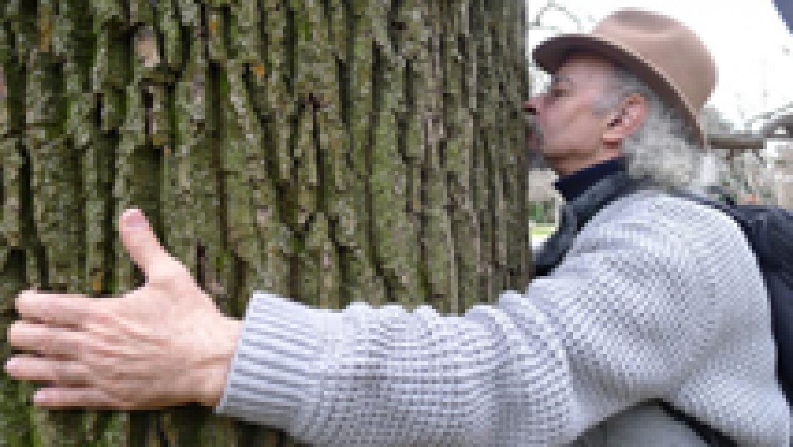 Aquí la Tierra: El hombre que abrazaba a los árboles | RTVE Play