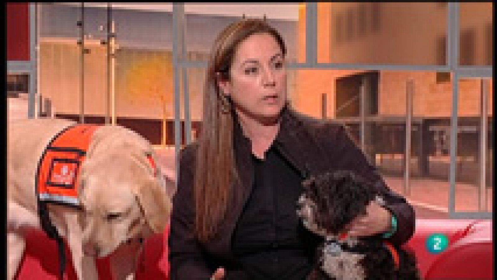 Para Todos la 2 - Entrevista - Maribel Vila, terapia con animales