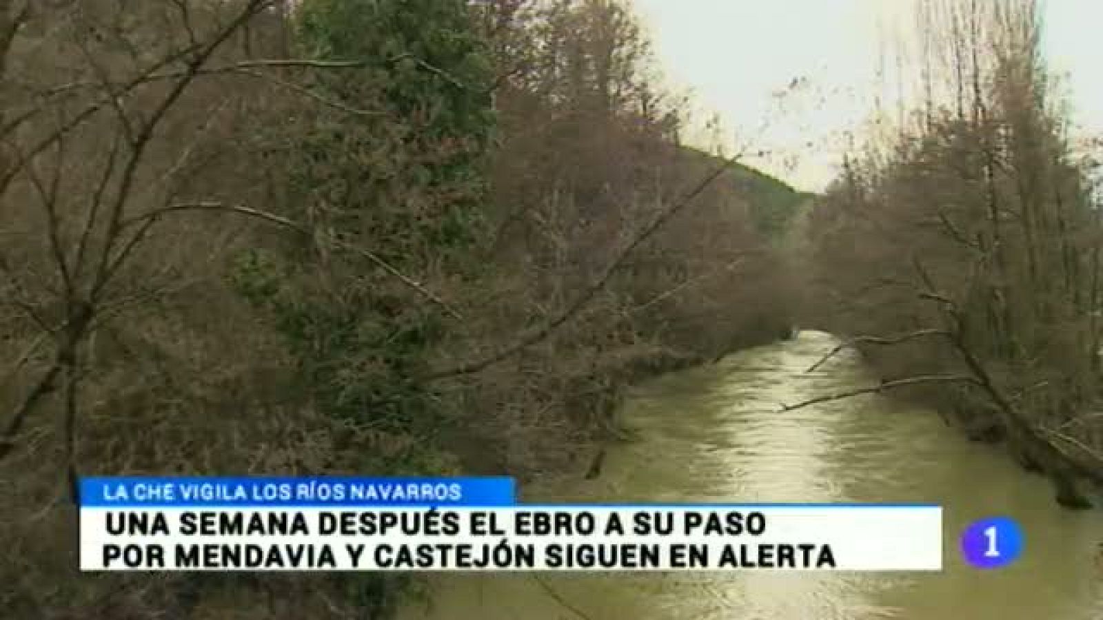 Telenavarra en 2' - 04/03/2015