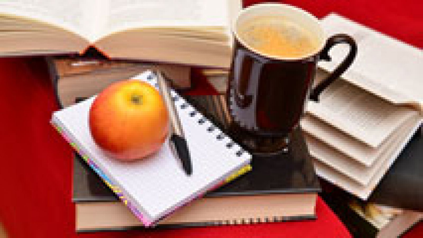 Aumenta el número de familias que optan por educar a sus hijos en casa