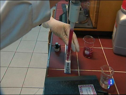 Panorama Regional - Panorama Regional 2 - 04/03/15