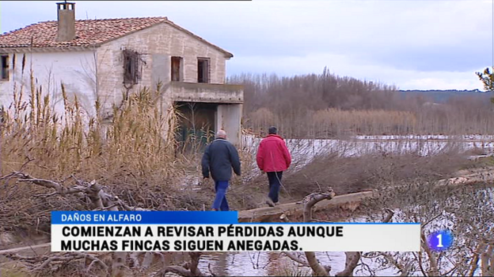 Informativo Telerioja - 04/03/15