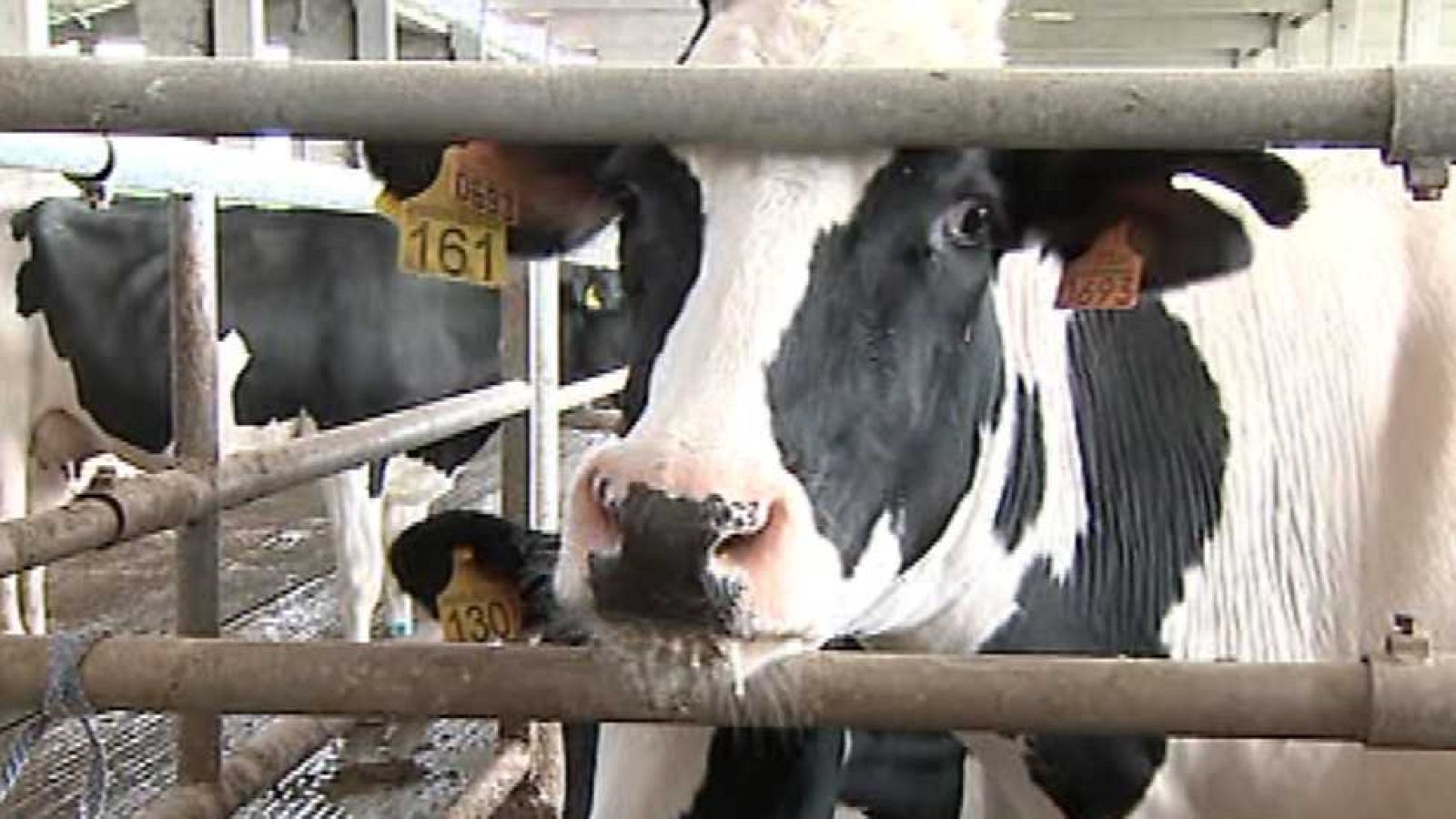 España en 24 horas - 04/03/15 - Ver ahora