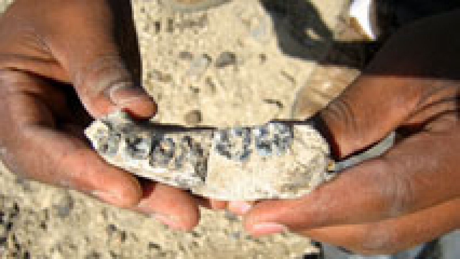 Una mandíbula encontrada en Etiopía puede ser el fósil más antiguo de nuestra especie