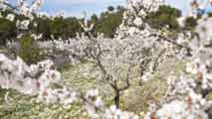 Informativo de Madrid - El Tiempo en la Comunidad de Madrid - 06/03/15