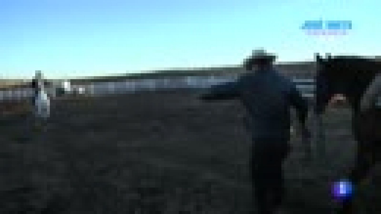 Aquí la Tierra: Un rancho de bueyes madrileño | RTVE Play