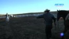 Un rancho de bueyes madrileño