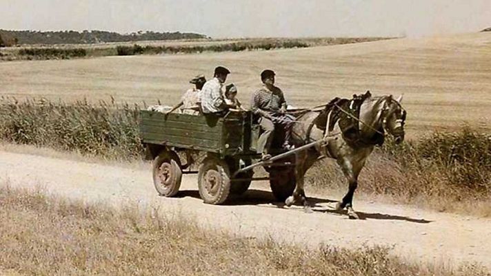 Otros documentales - Tierra de esperanza
