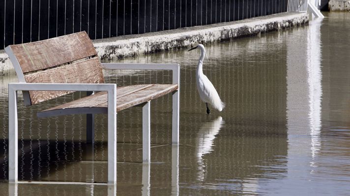 Telediario 1 - Momento de cuantificar los daños por la crecida del Ebro