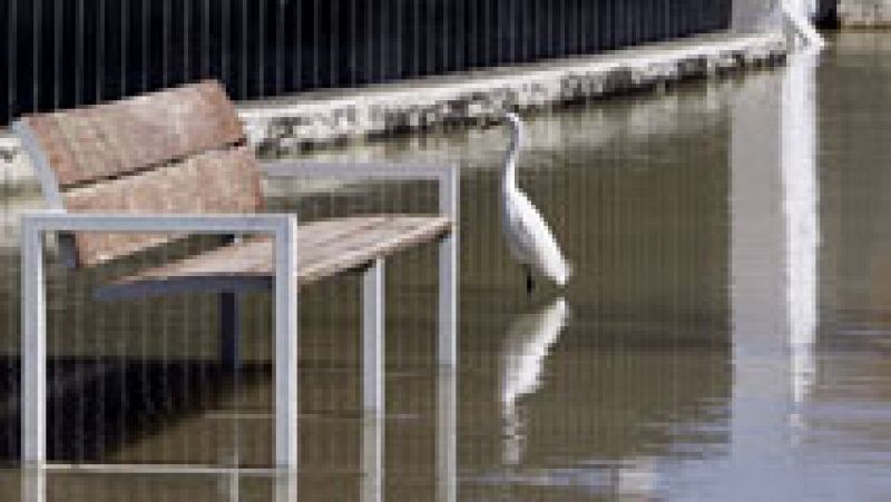 El caudal del Ebro baja mientras más de un centenar de personas siguen desalojadas