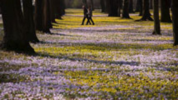El tiempo - Nuboso en Galicia y en parte de Canarias