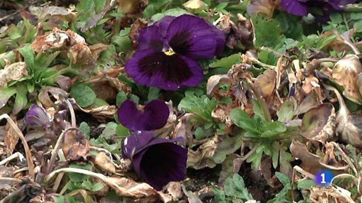 Aquí la Tierra - Aquí la Tierra - 09/03/15