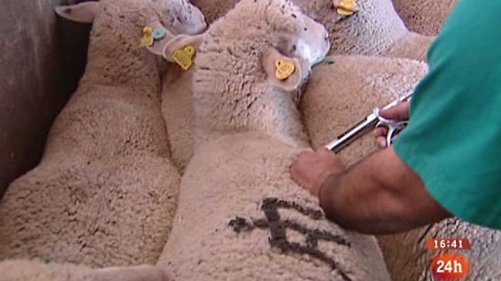 España en 24h - España en 24 horas - 10/03/15