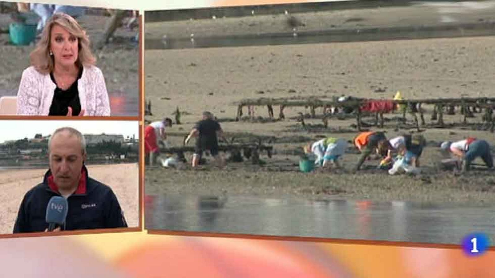 Mariscadores parados: La contaminación de hidrocarburos les impide faenar