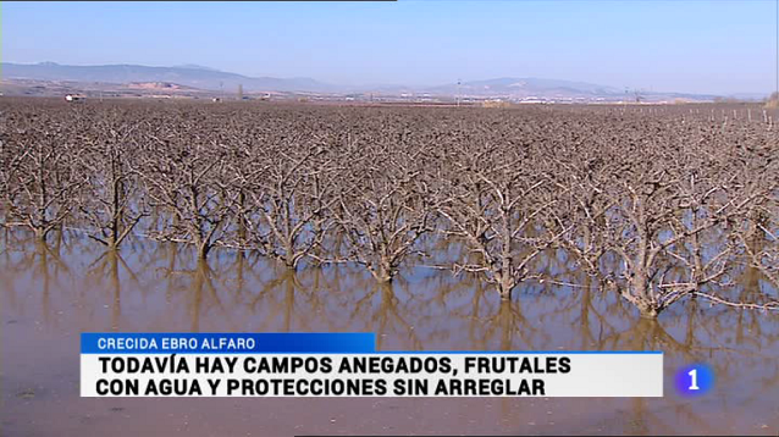 Telerioja en 2' - 11/03/15