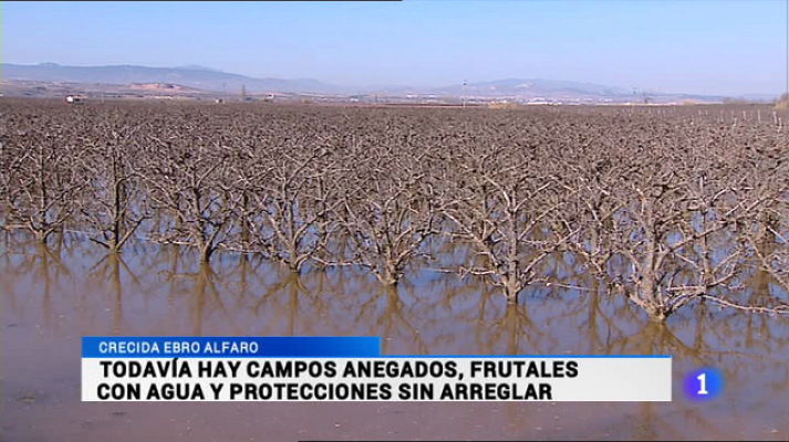 Informativo Telerioja - Telerioja en 2' - 11/03/15