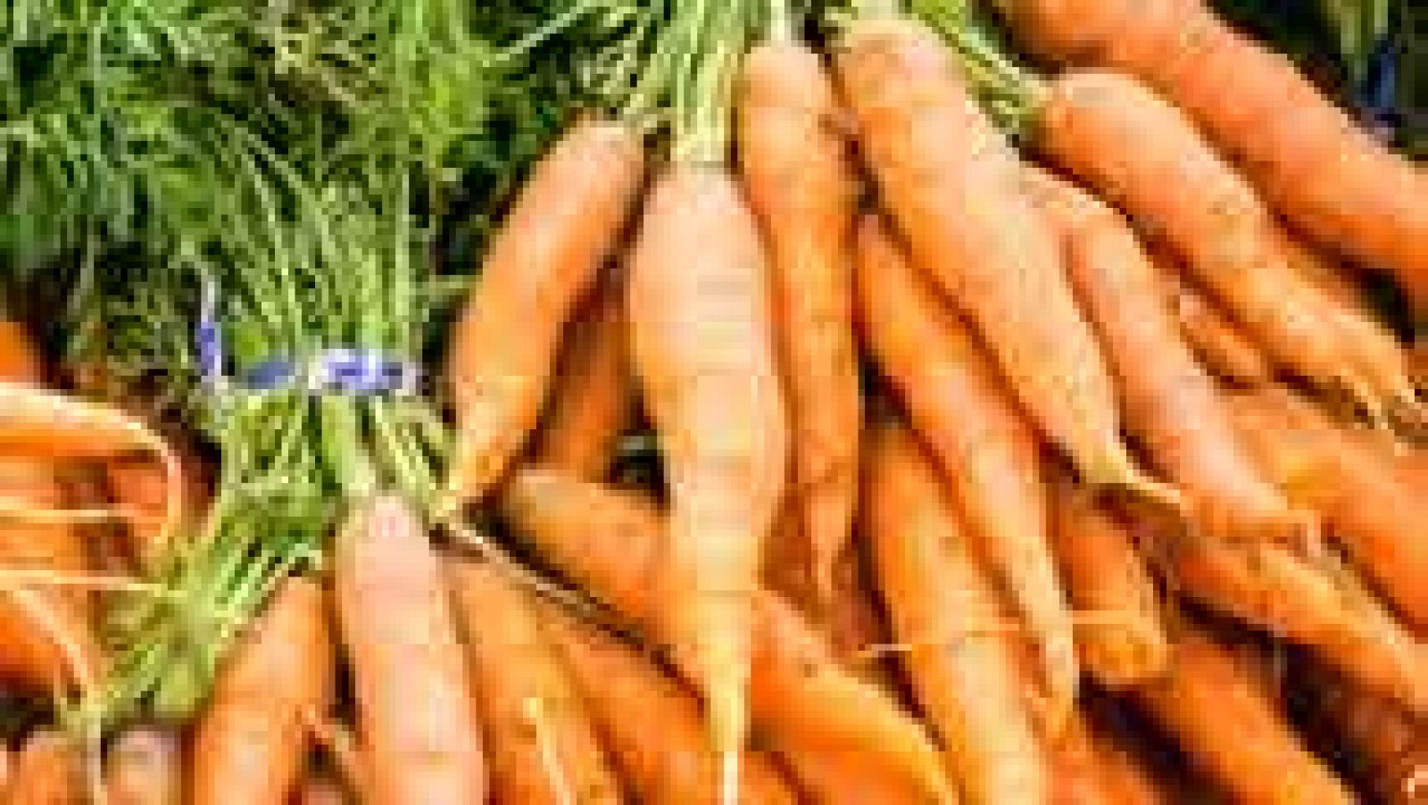 Recetas de zanahorias