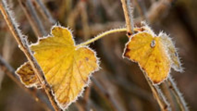 Descenso notable de las temperaturas en zonas de la mitad norte peninsular y del Levante