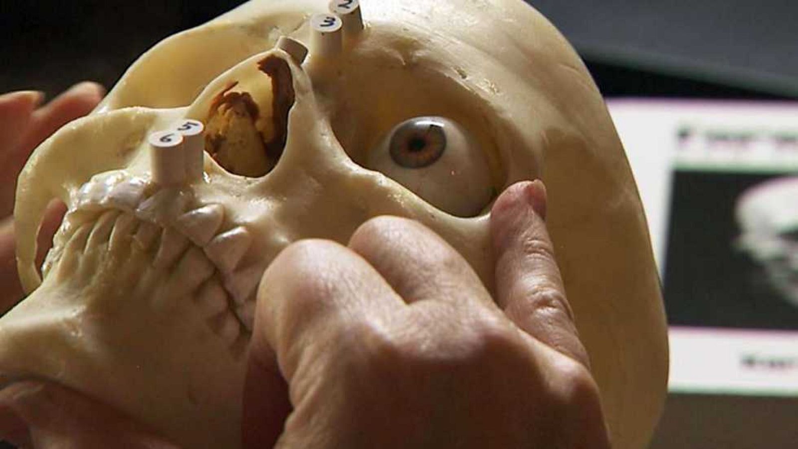 Docufilia - Técnicas forenses pioneras: Antropología - ver ahora