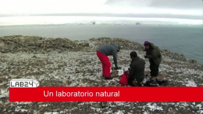 Lab24 - Lab24 - Programa 21 - avance