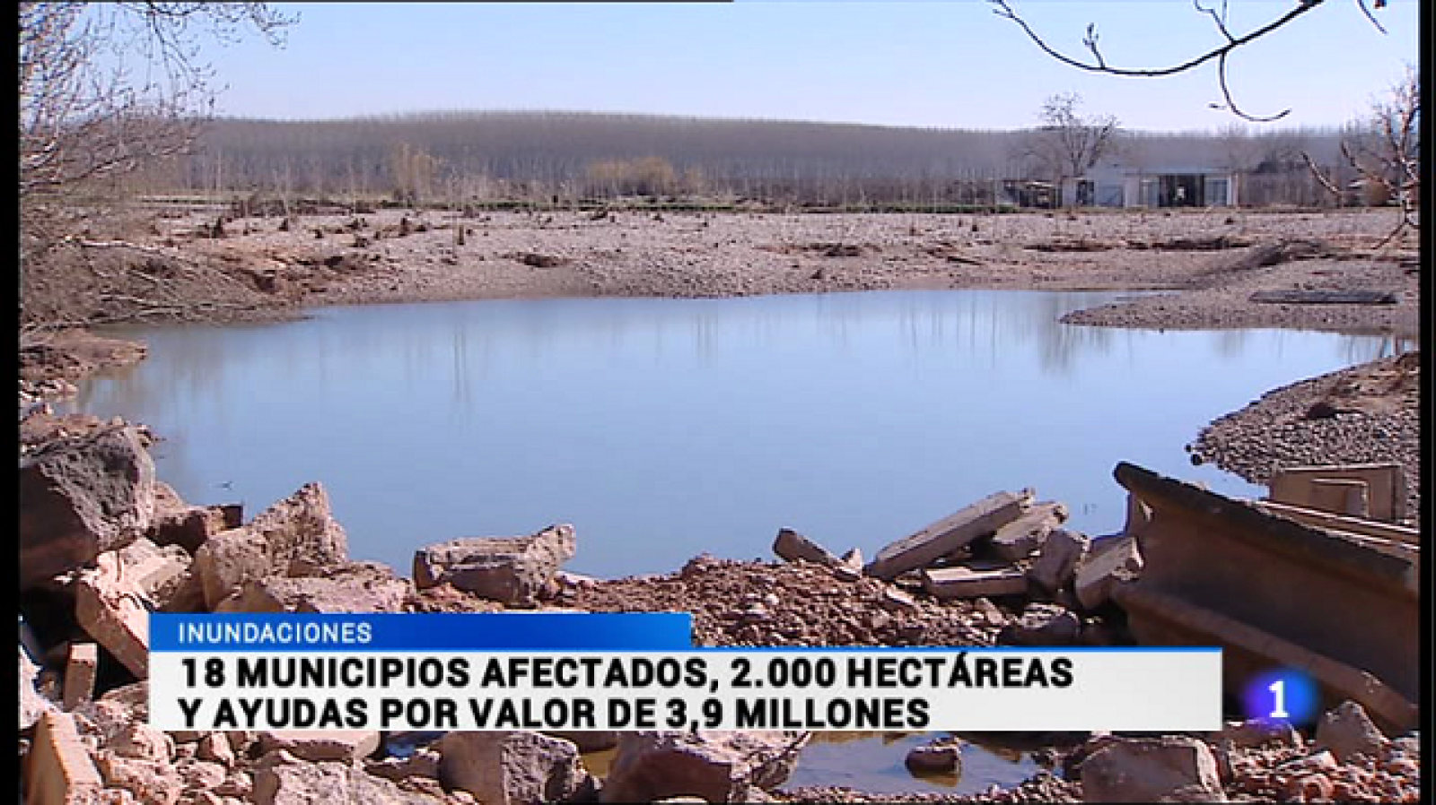 Informativo Telerioja 2 - 13/03/15