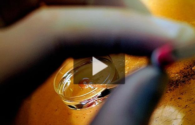 Ciencia y tecnología en Rtve.es - Semen joven de mala calidad