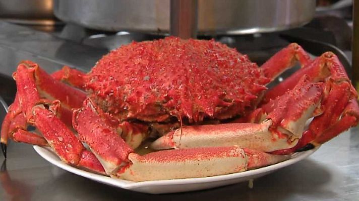 Agrosfera - Agrosfera - 14/03/15