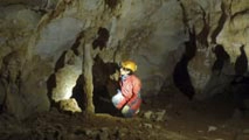 Hallan pinturas del paleolítico muy valiosas en una cueva de Cantabria