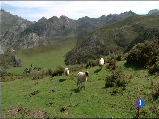 Panorama Regional - Panorama Regional 2 - 16/03/15