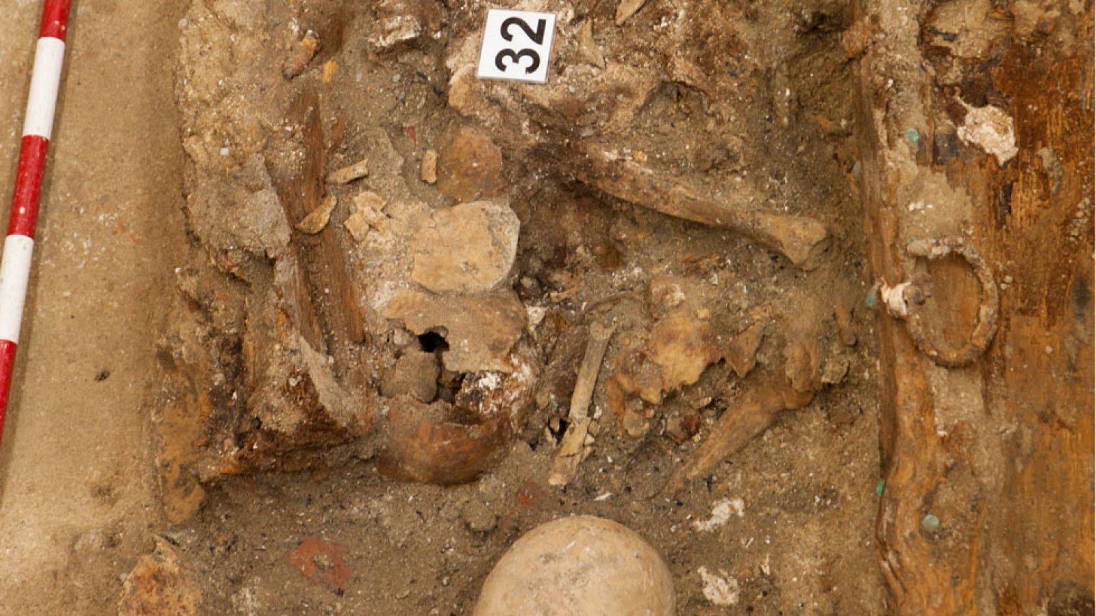 Los investigadores concluyen que han hallado los restos de Miguel de Cervantes - Informativo 24h | Ver