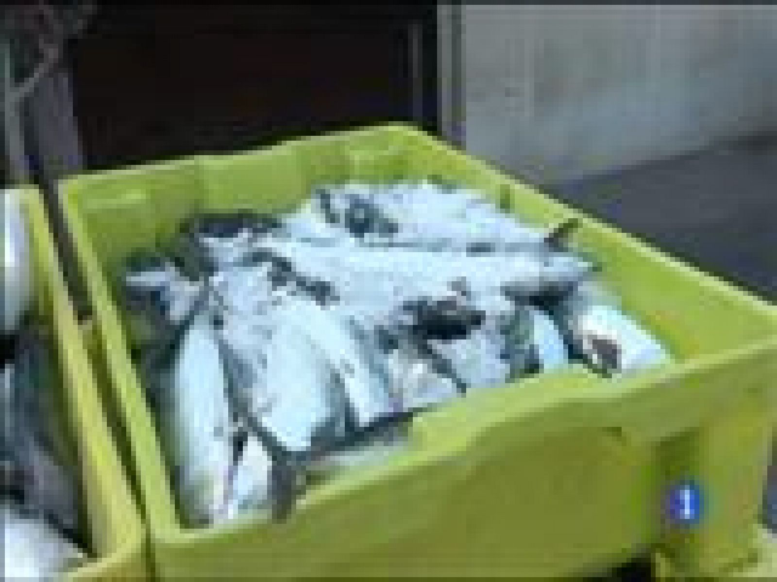 Panorama Regional 2 - 17/03/15 | Ver