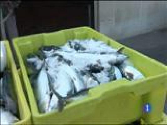 Panorama Regional - Panorama Regional 2 - 17/03/15