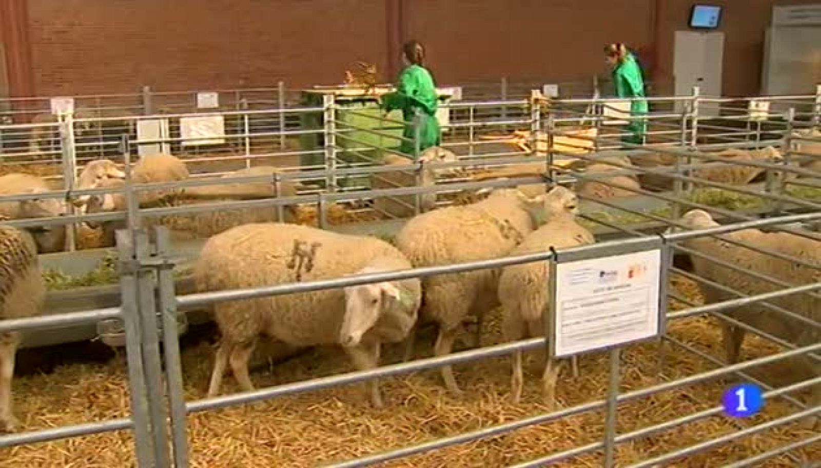 Noticias Aragón 2-17/03/15 | Ver