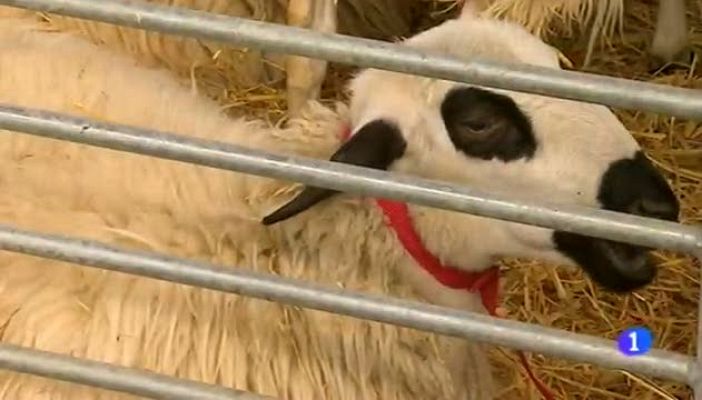 Noticias Aragón - Noticias Aragón - 17/03/15