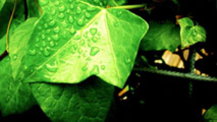 El tiempo - Chubascos que podrán ser fuertes en el sureste peninsular