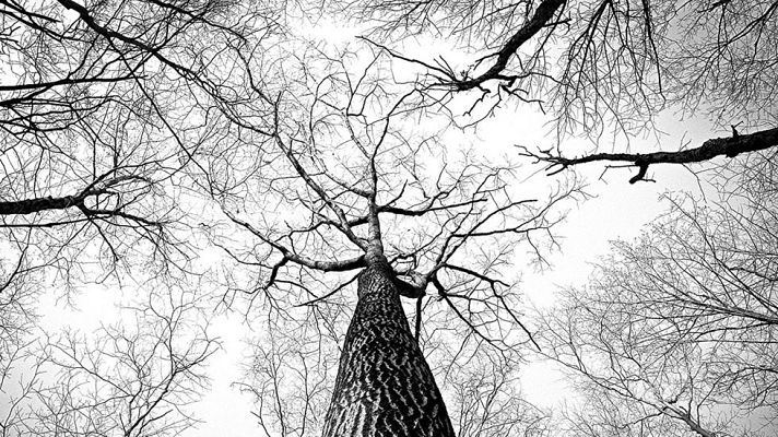 El tiempo - Tormenta en zonas del sureste peninsular y Estrecho