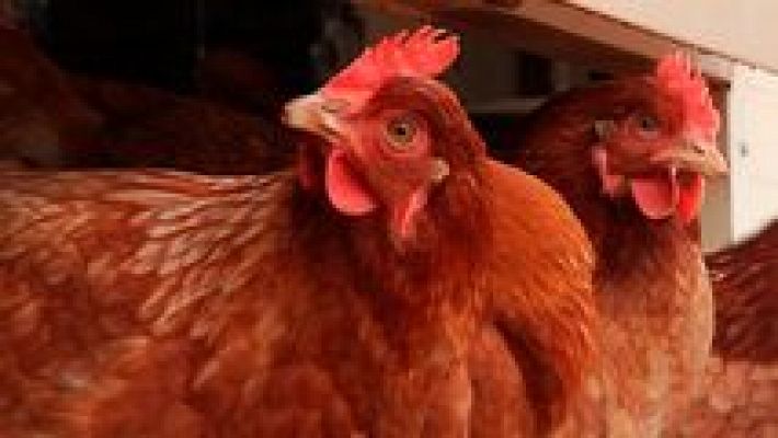 Aquí la Tierra - Aquí la Tierra - 19/03/15