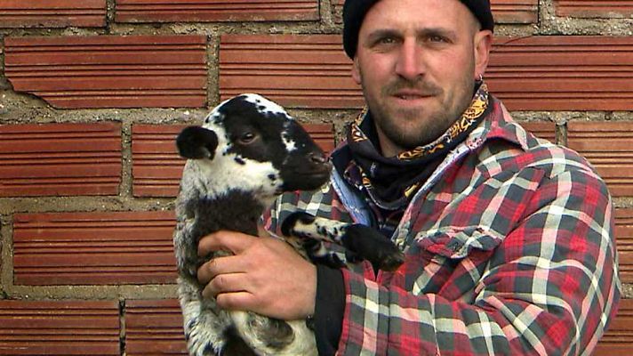 El escarabajo verde - Yo, pastor